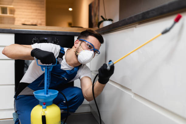 Best Termite Control Services  in Tyrone, GA