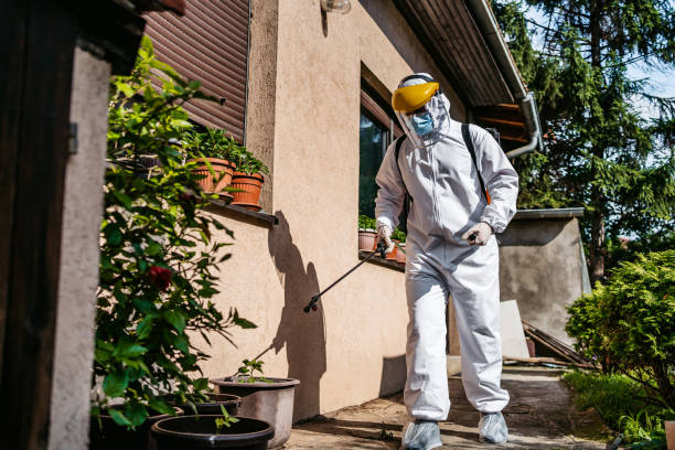Best Local Pest Control Services  in Tyrone, GA