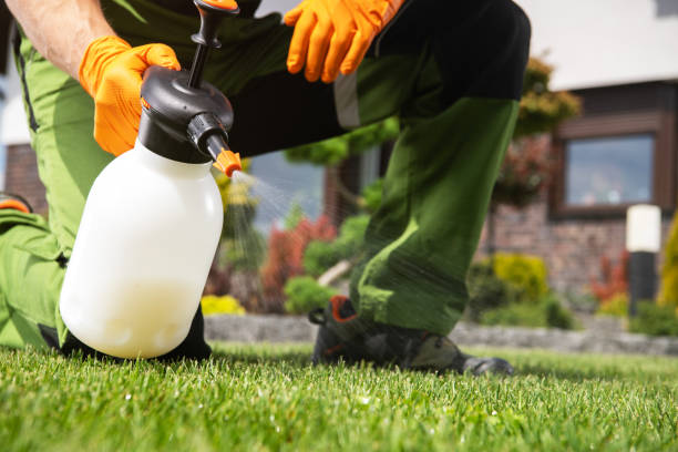 Flea Control Services in Tyrone, GA