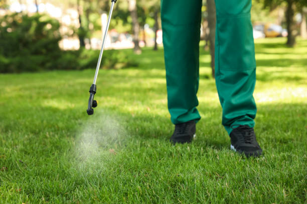 Best Bed Bug Extermination  in Tyrone, GA