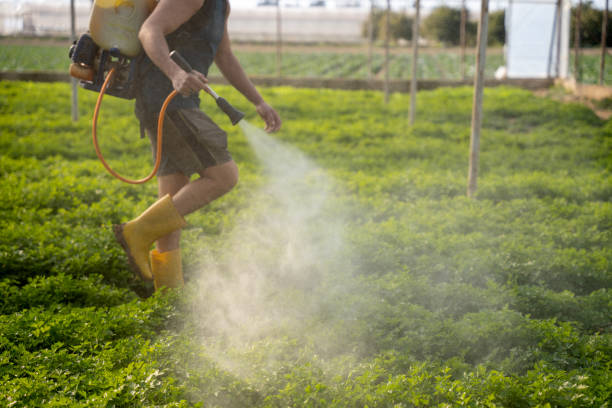 Insect Control in Tyrone, GA