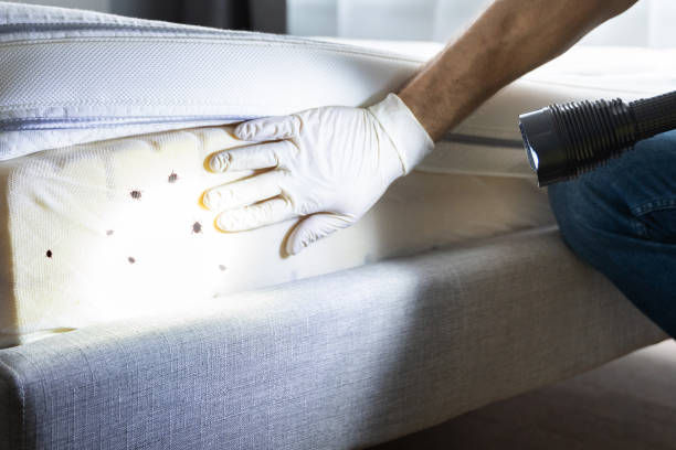 Best Pest Removal Services  in Tyrone, GA