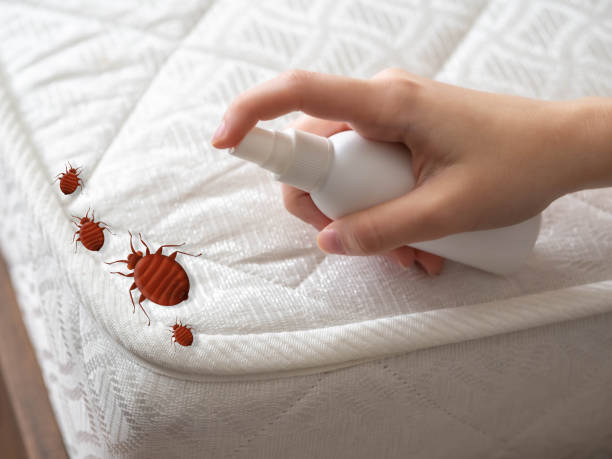Pest Control Cost in Tyrone, GA