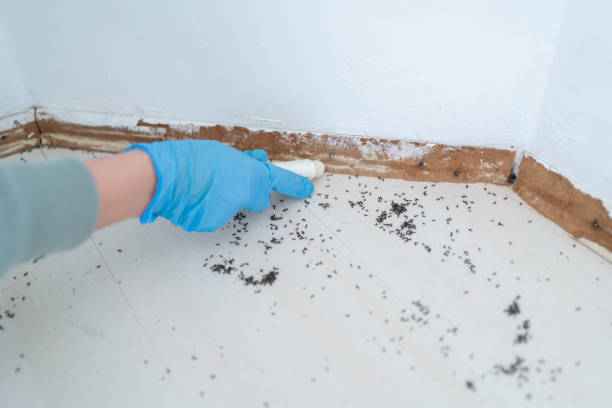 Wildlife Control Services in Tyrone, GA